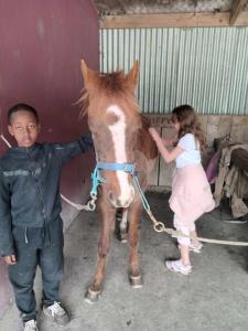 War-Horse-Learn-to-Ride-Banbkwood-School